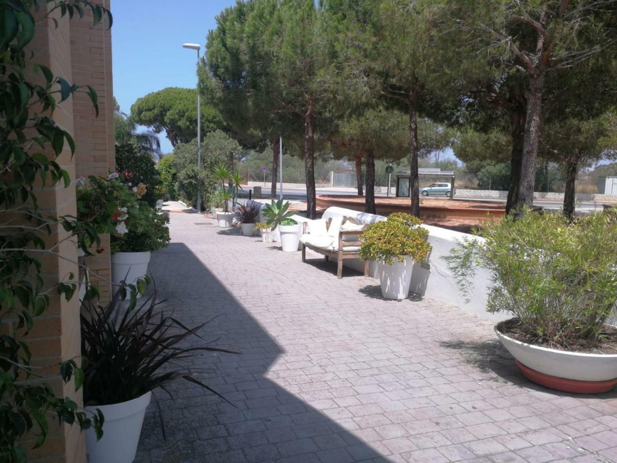 Hotel Marisma Sancti Petri Chiclana de la Frontera Exteriér fotografie